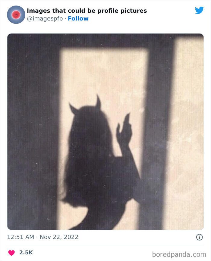 Shadow silhouette of a person with devil horns posing with one hand raised, a weird and funny profile picture idea.