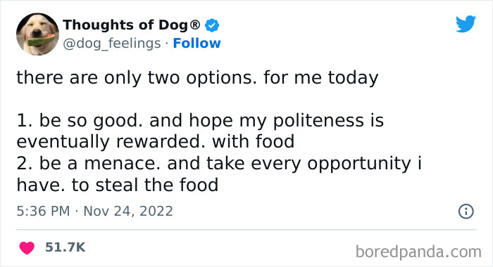 Funny-Tweets-Thoughts-Of-Dog
