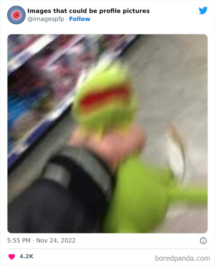 Blurry photo of a green puppet toy being held, part of weird and funny images shared on profile pictures page.
