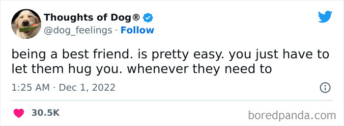Funny-Tweets-Thoughts-Of-Dog