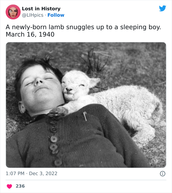 Lost-In-History-Twitter