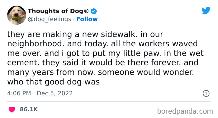 Funny-Tweets-Thoughts-Of-Dog