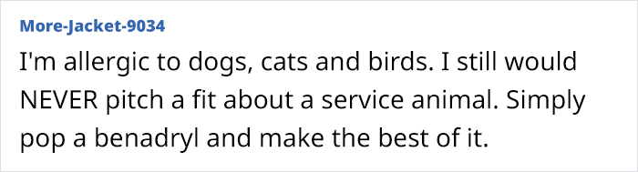 &ldquo;Karen, Of Course, Screeches For A Supervisor&rdquo;: Karen's Fake Allergy To Service Dog Backfires As The Airline Upgrades The Owner To First Class