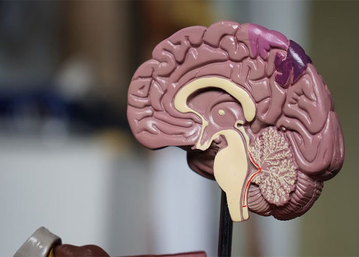 50 Facts That Are So Niche, Only People In Certain Professions Know About Them, As Shared By Professionals Themselves