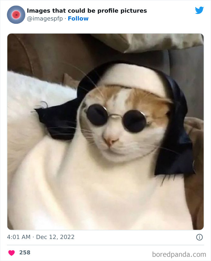 Images-That-Could-Be-Profile-Pictures