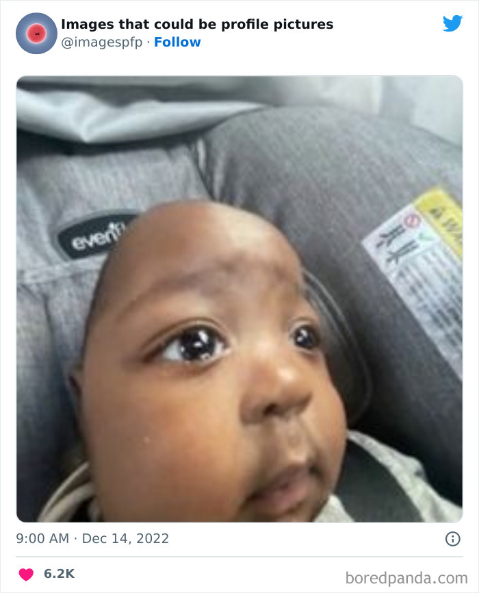 Images-That-Could-Be-Profile-Pictures