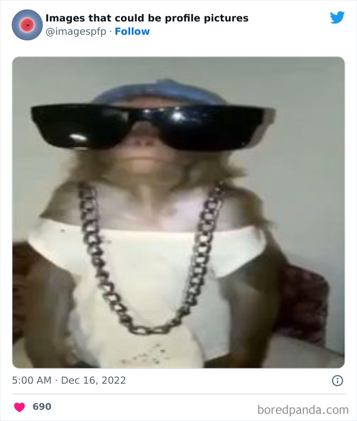 Images-That-Could-Be-Profile-Pictures