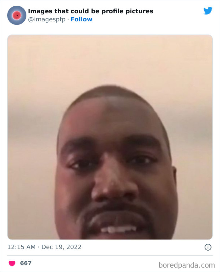 Images-That-Could-Be-Profile-Pictures