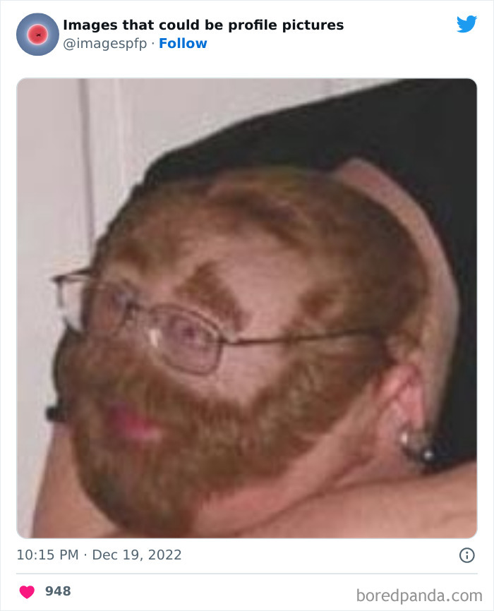 Images-That-Could-Be-Profile-Pictures