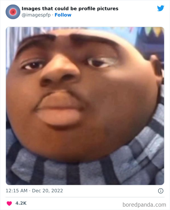 Images-That-Could-Be-Profile-Pictures