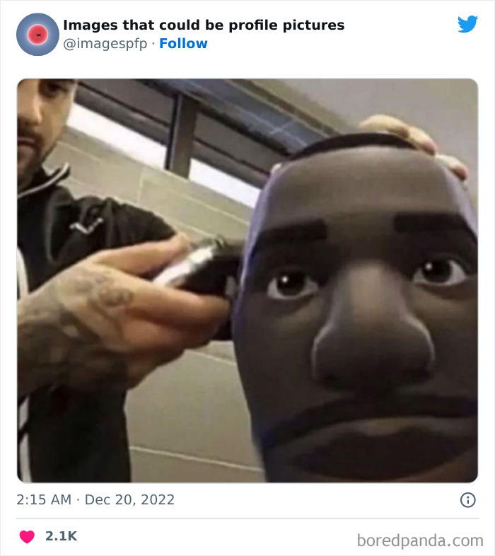 Images-That-Could-Be-Profile-Pictures