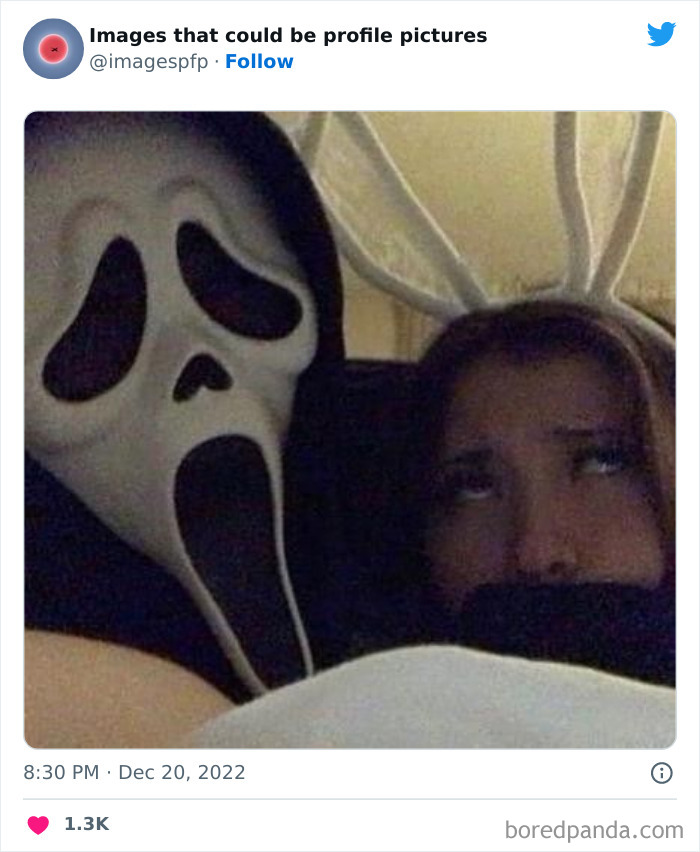 Images-That-Could-Be-Profile-Pictures