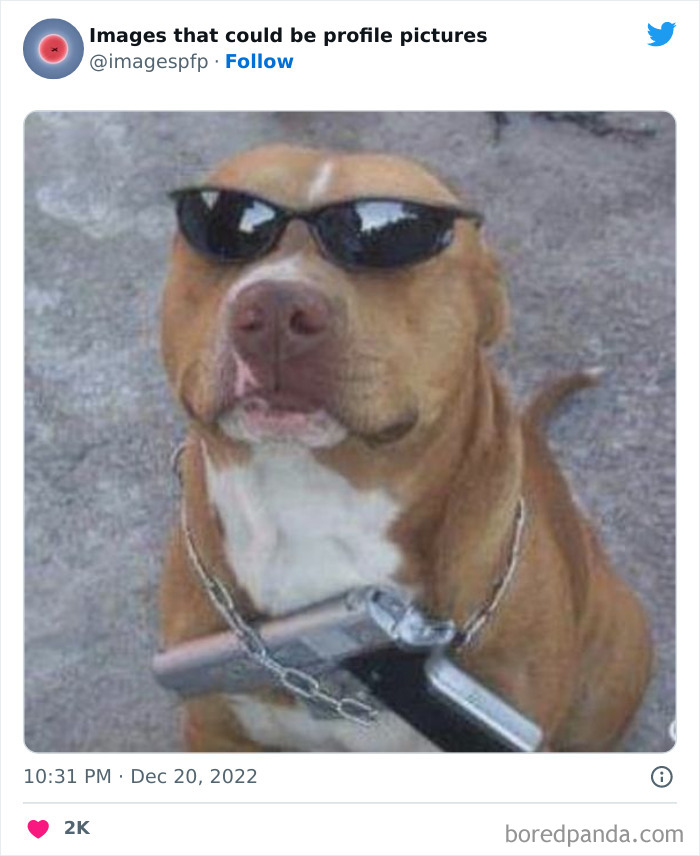 Images-That-Could-Be-Profile-Pictures