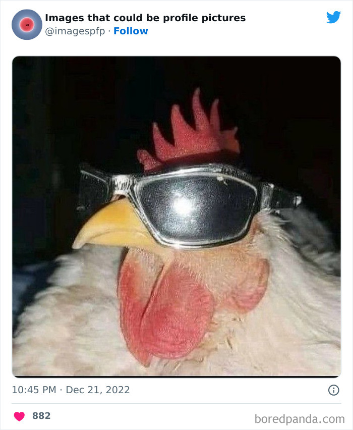 Images-That-Could-Be-Profile-Pictures