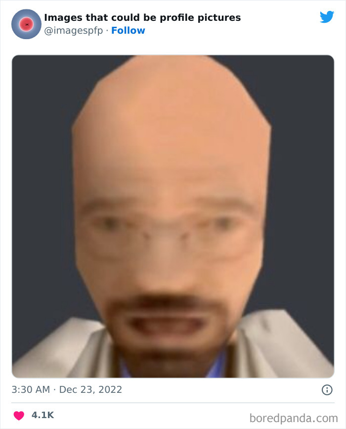 Images-That-Could-Be-Profile-Pictures