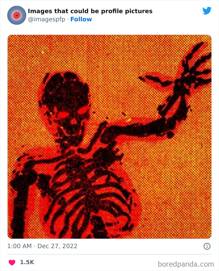 Images-That-Could-Be-Profile-Pictures