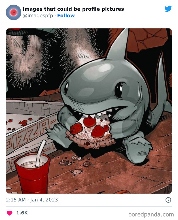 Images-That-Could-Be-Profile-Pictures