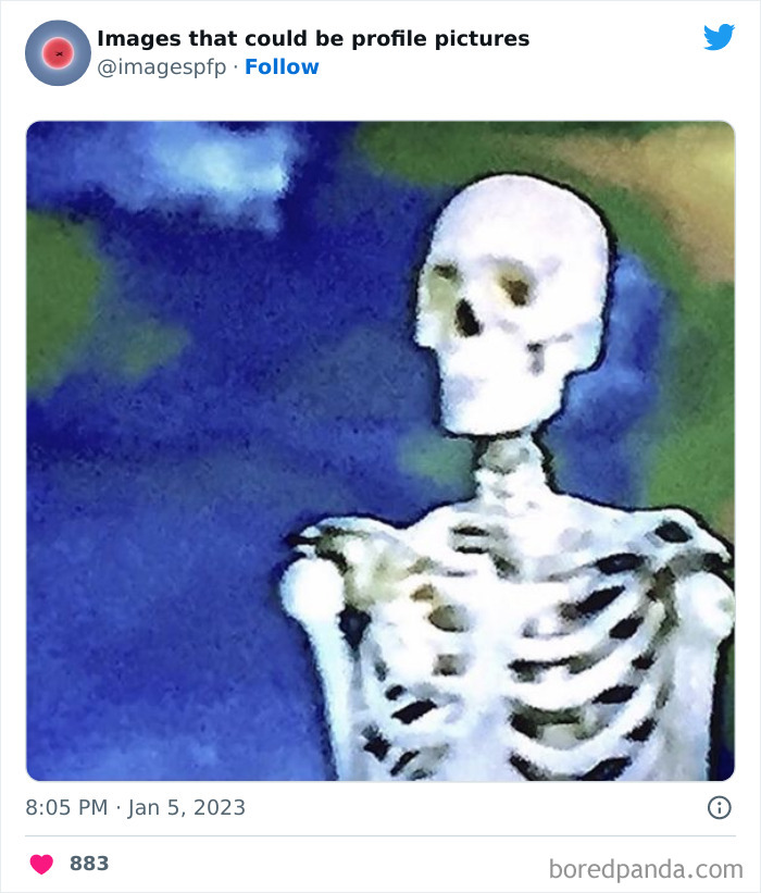 Images-That-Could-Be-Profile-Pictures