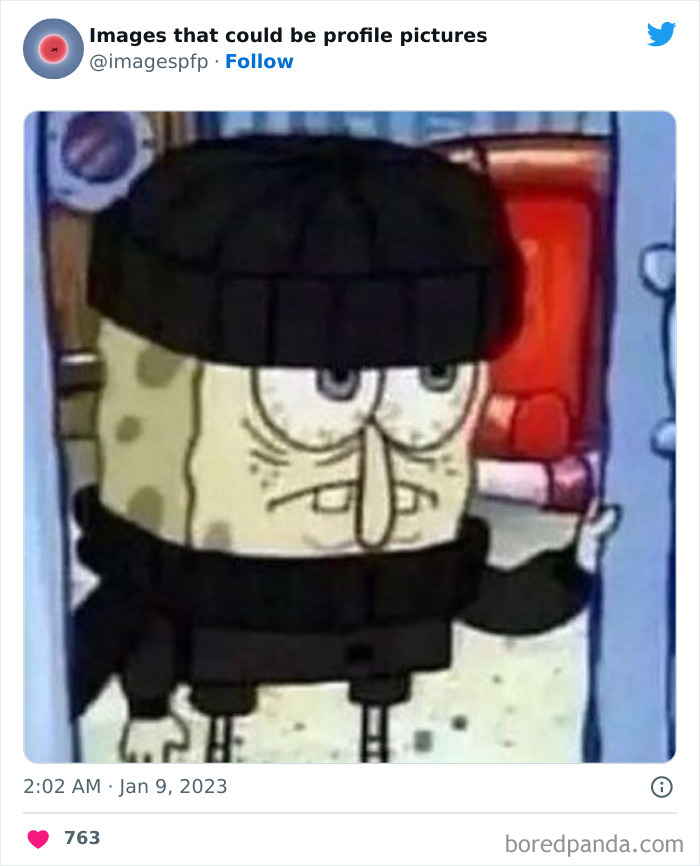 Images-That-Could-Be-Profile-Pictures