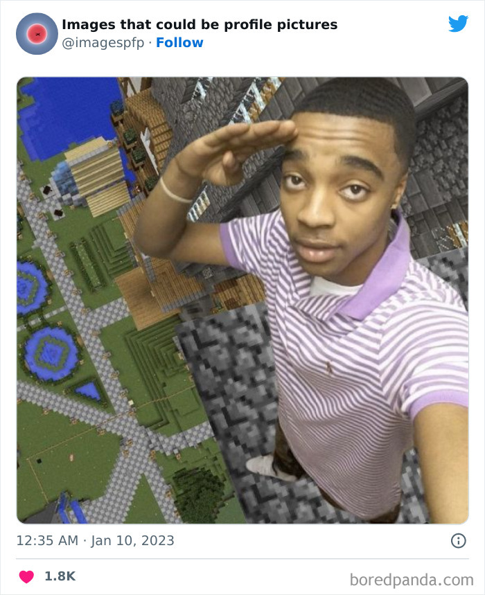 Images-That-Could-Be-Profile-Pictures