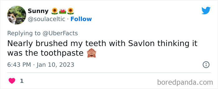 Weirdest-Things-People-Did-While-Brain-Autopilot