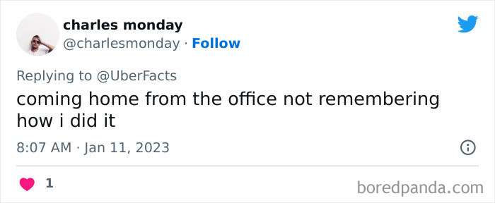 Weirdest-Things-People-Did-While-Brain-Autopilot