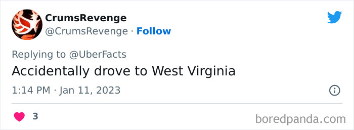 Weirdest-Things-People-Did-While-Brain-Autopilot