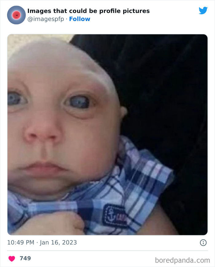 Images-That-Could-Be-Profile-Pictures