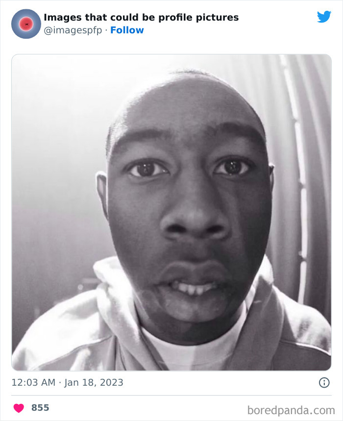 Images-That-Could-Be-Profile-Pictures