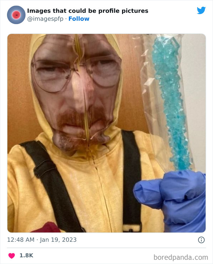 Images-That-Could-Be-Profile-Pictures