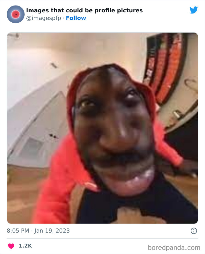 Images-That-Could-Be-Profile-Pictures