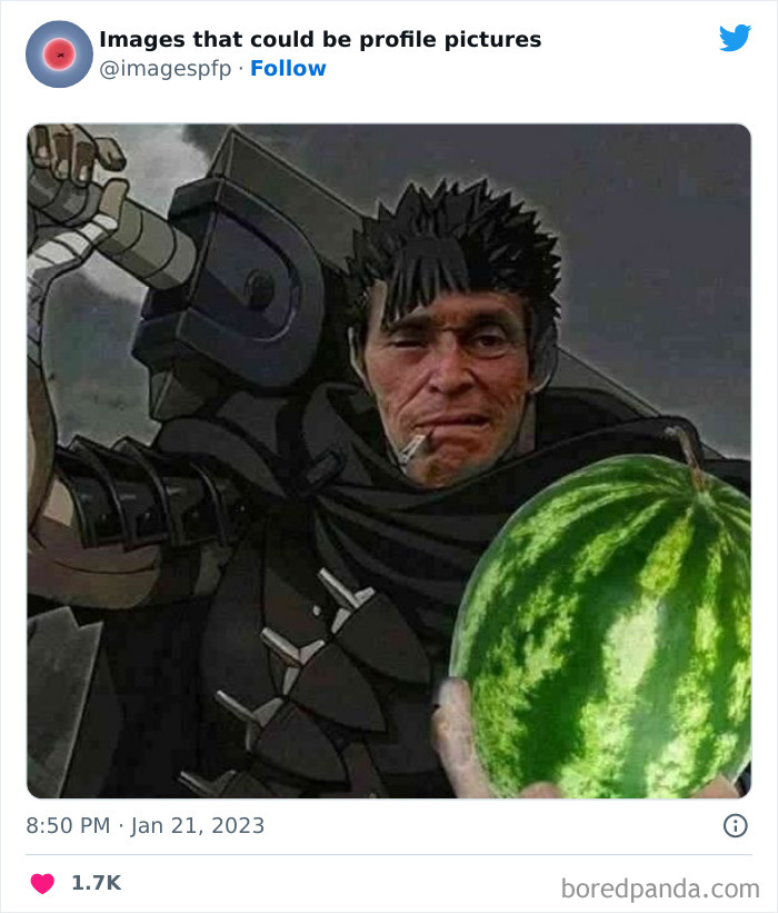 Images-That-Could-Be-Profile-Pictures