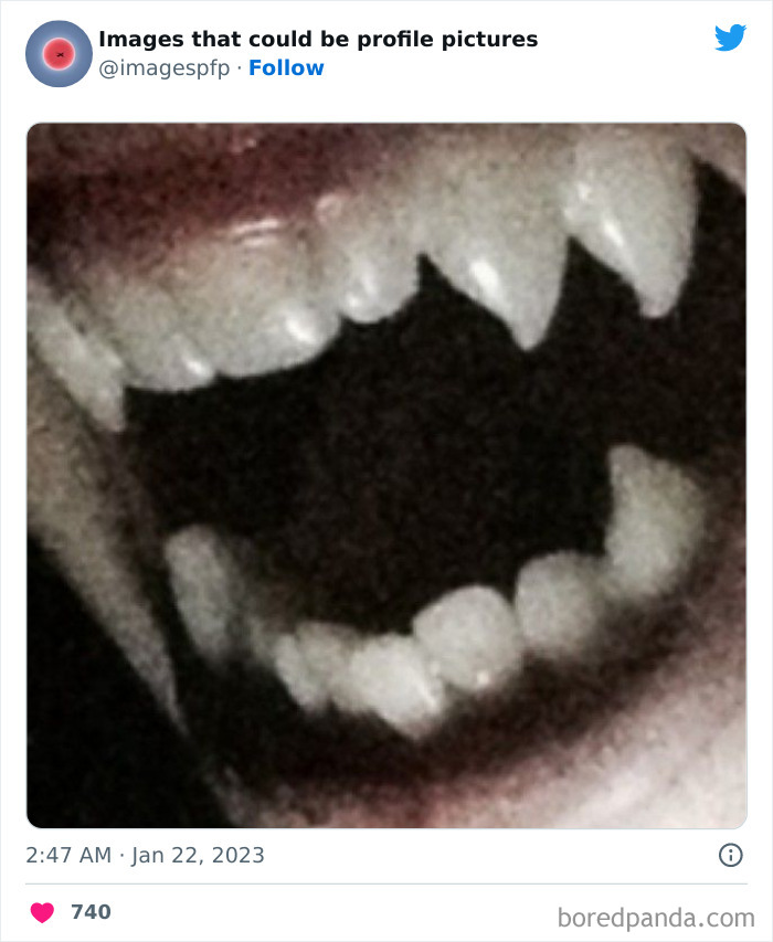 Images-That-Could-Be-Profile-Pictures