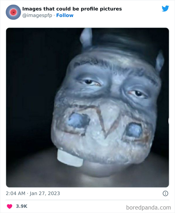 Images-That-Could-Be-Profile-Pictures