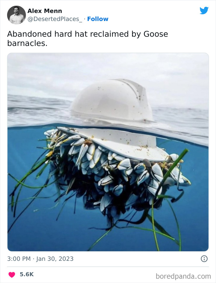 Deserted-Places-Pics