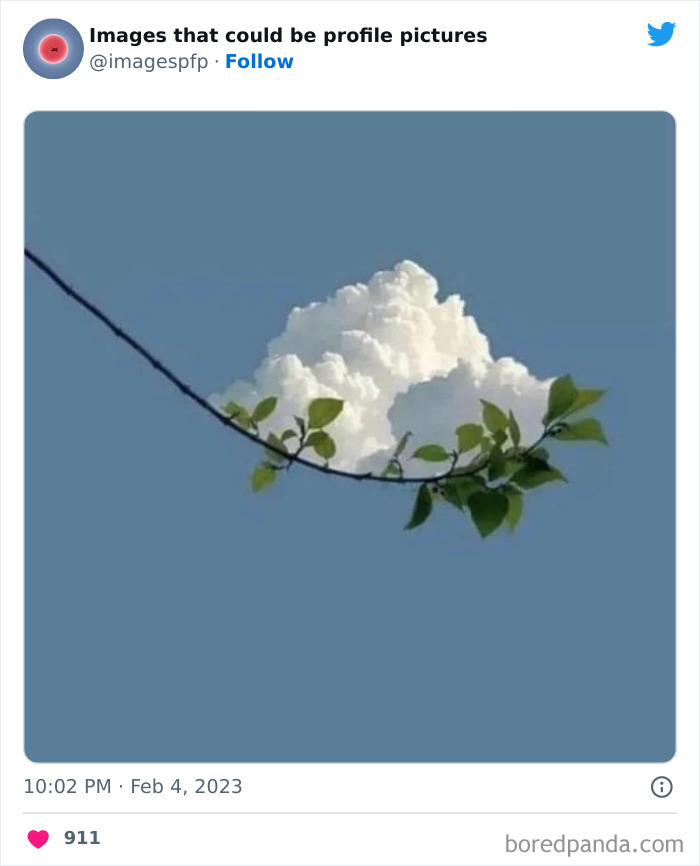 Cloud resembling a puffy object resting on a small tree branch with green leaves in a clear blue sky, profile picture idea.