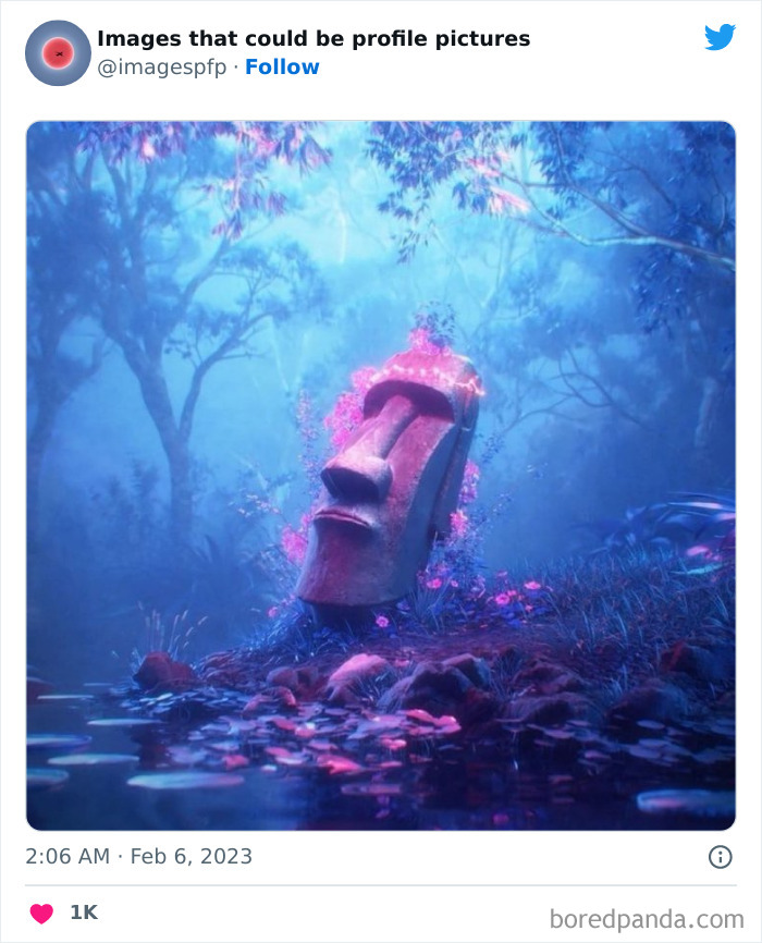 Images-That-Could-Be-Profile-Pictures