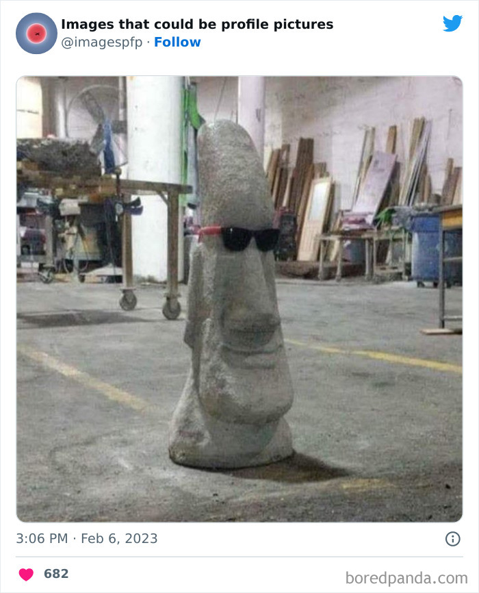 Images-That-Could-Be-Profile-Pictures