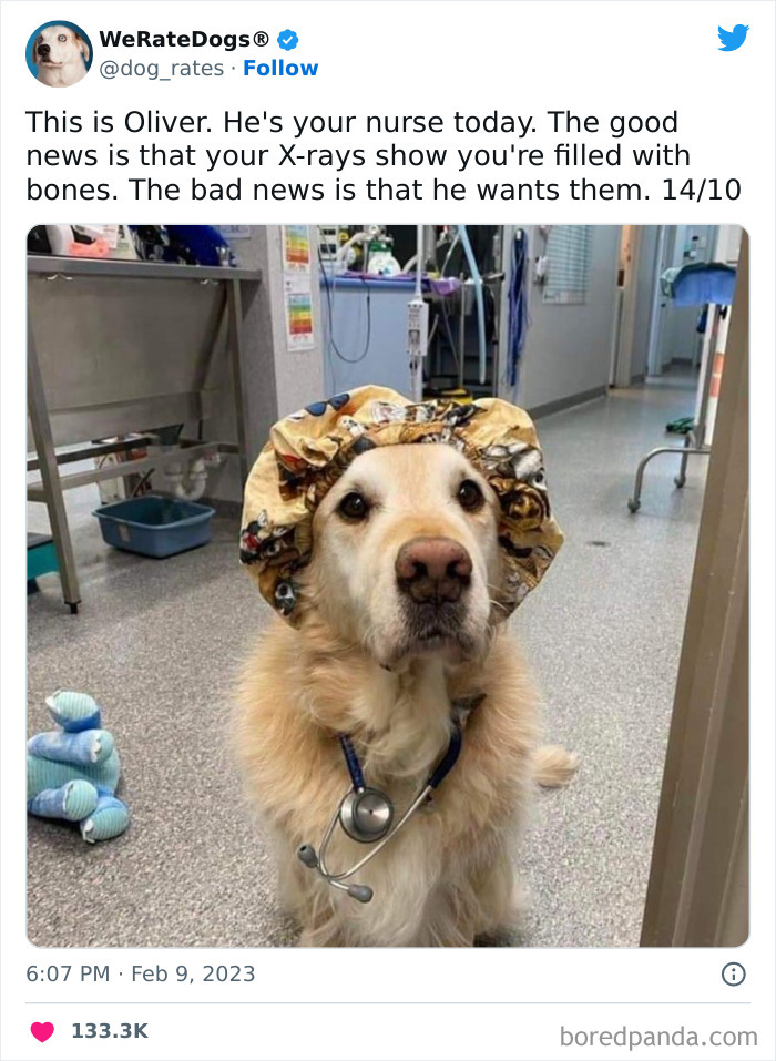 Cute-Dogs-Ratings Cute-Dogs-Ratings
