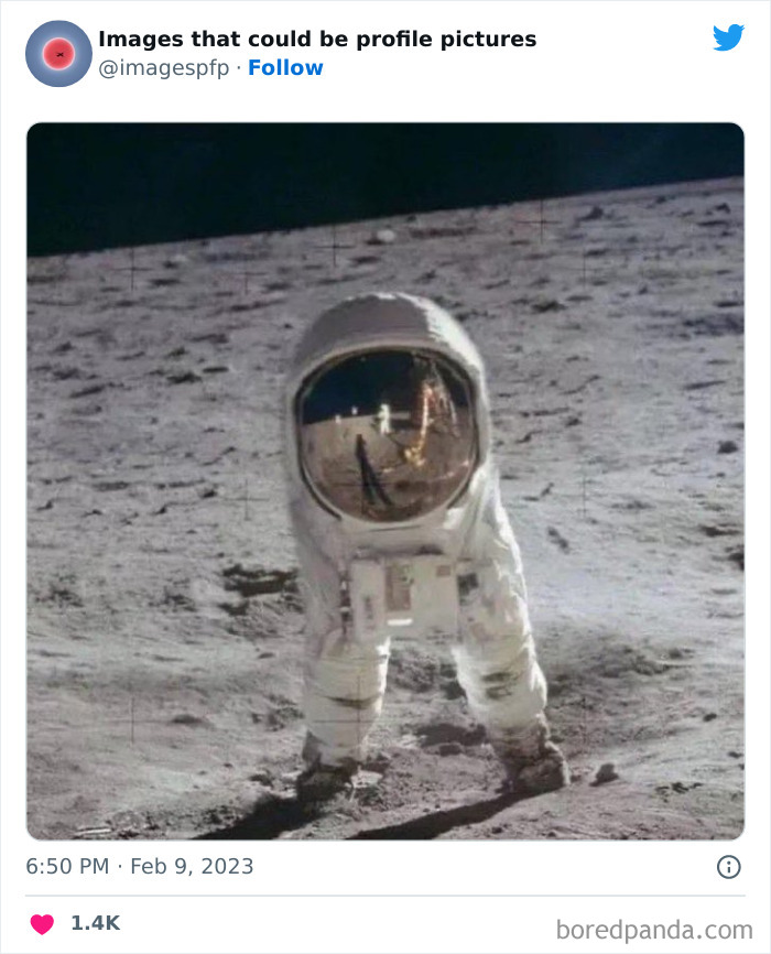 Images-That-Could-Be-Profile-Pictures