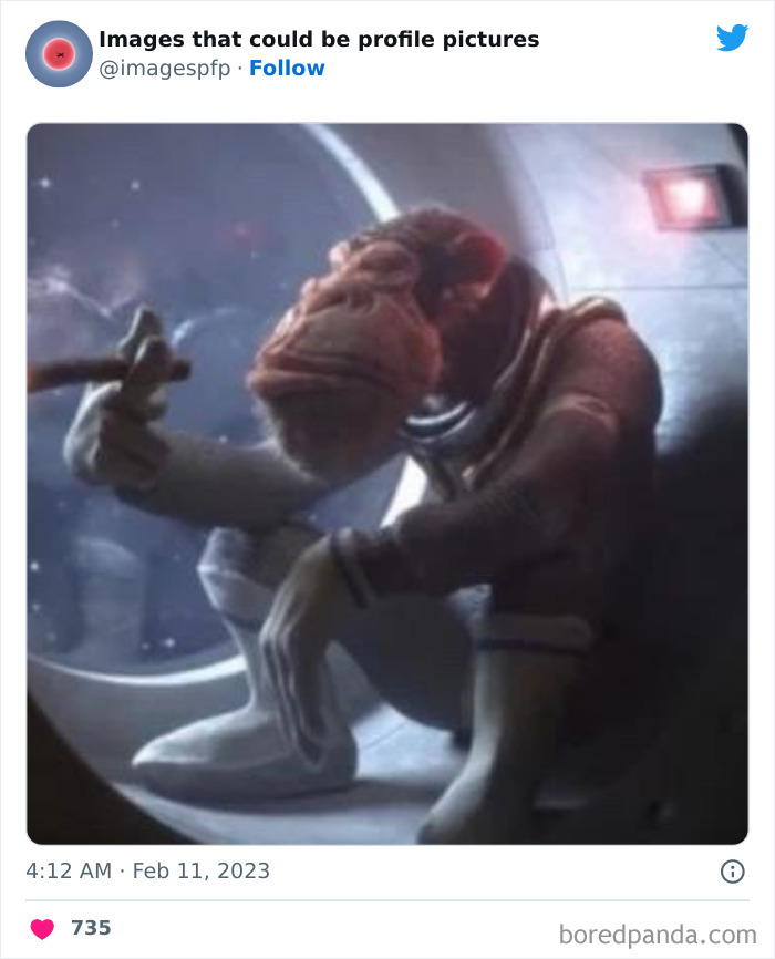 Images-That-Could-Be-Profile-Pictures