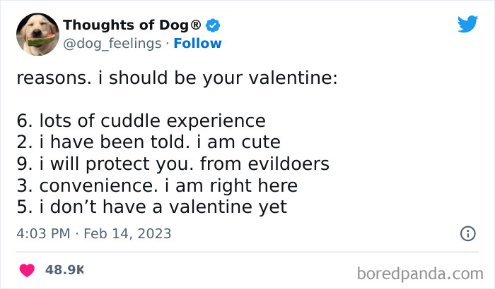 Funny-Tweets-Thoughts-Of-Dog