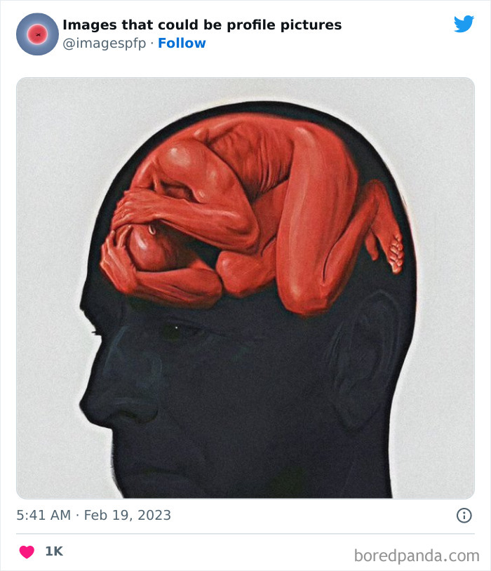 Images-That-Could-Be-Profile-Pictures