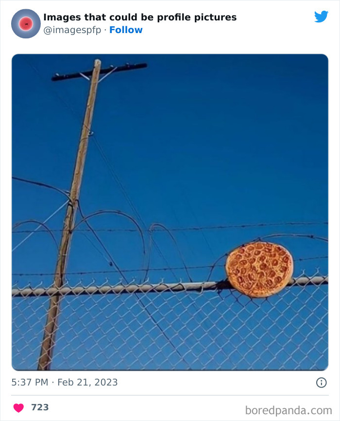 Images-That-Could-Be-Profile-Pictures