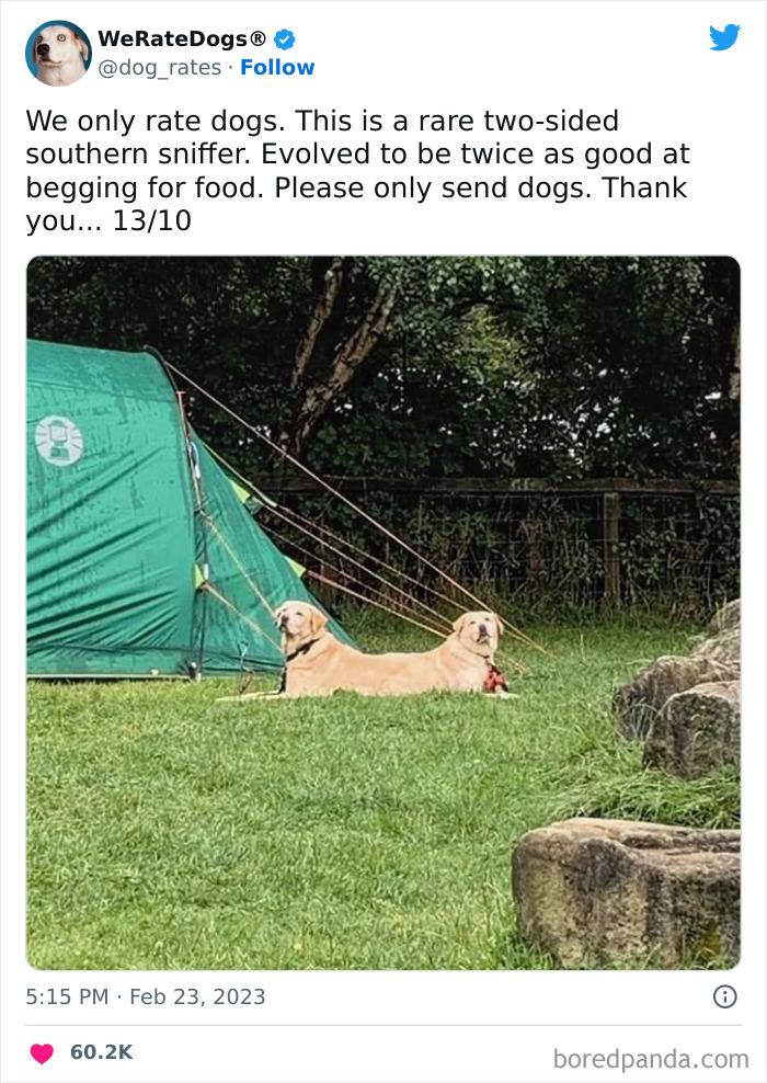 Cute-Dogs-Ratings Cute-Dogs-Ratings