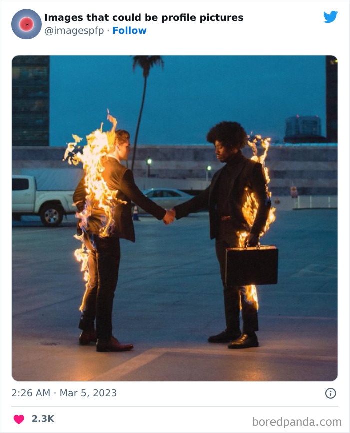 Images-That-Could-Be-Profile-Pictures