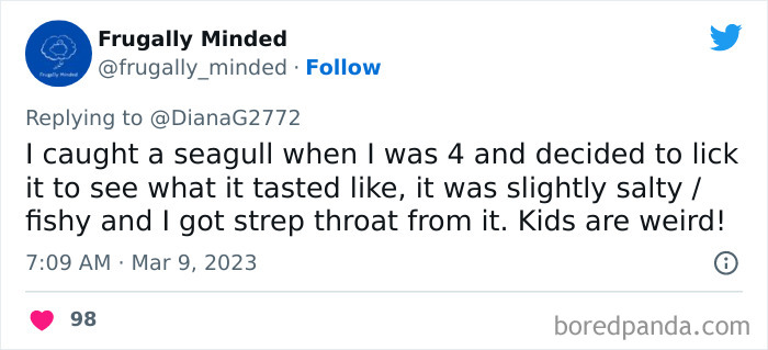 Tweet sharing a kid’s unhinged story about licking a seagull and getting strep throat, illustrating unpredictable kids behavior.