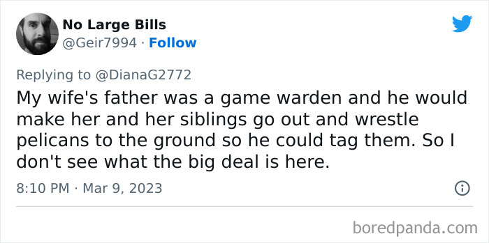 Tweet screenshot showing a story of kids doing something unhinged by wrestling pelicans to the ground to tag them.