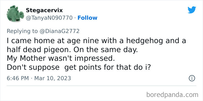Tweet screenshot showing a kid sharing an unhinged story about bringing home a hedgehog and half dead pigeon.