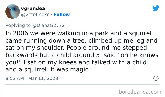 Tweet describing a kid’s unhinged moment interacting with a squirrel that freaked out people around them.